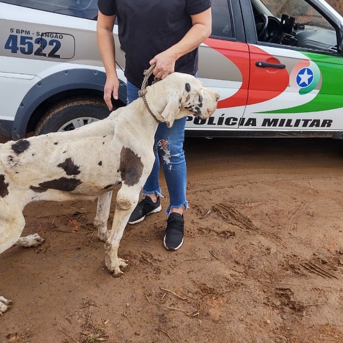 Polícia Militar atende ocorrência de maus-tratos a animal