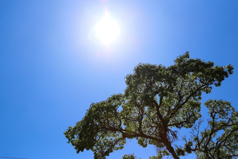 Quarta segue com sol e muitas nuvens em Santa Catarina