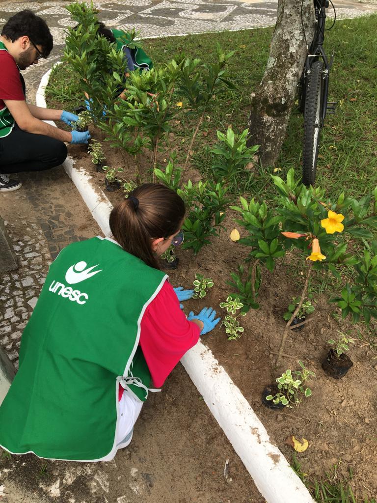 Praça do bairro Cidade Alta em Forquilhinha recebe novas mudas