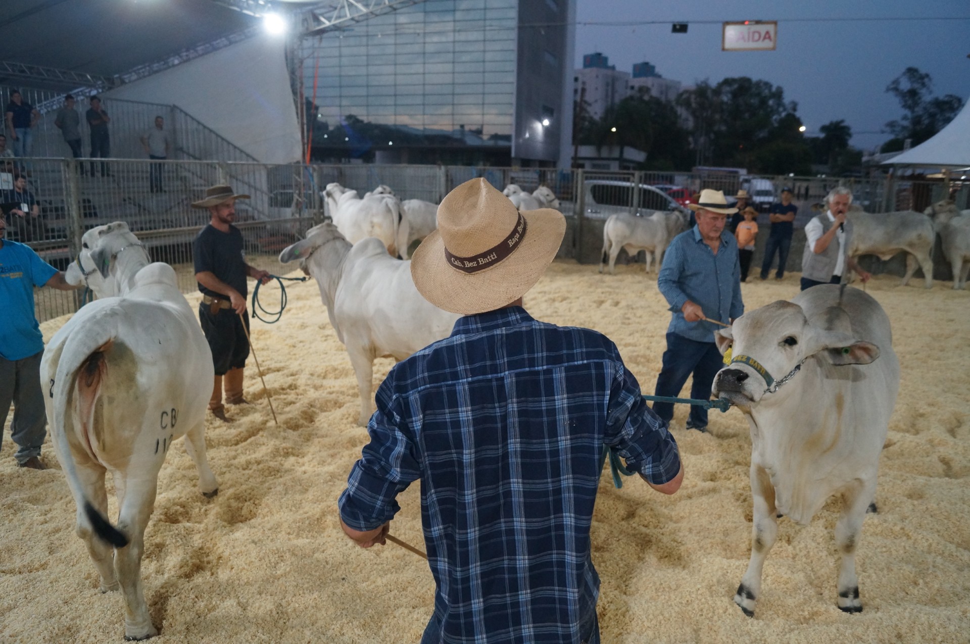 AgroPonte divulga programação oficial da maior feira de Criciúma