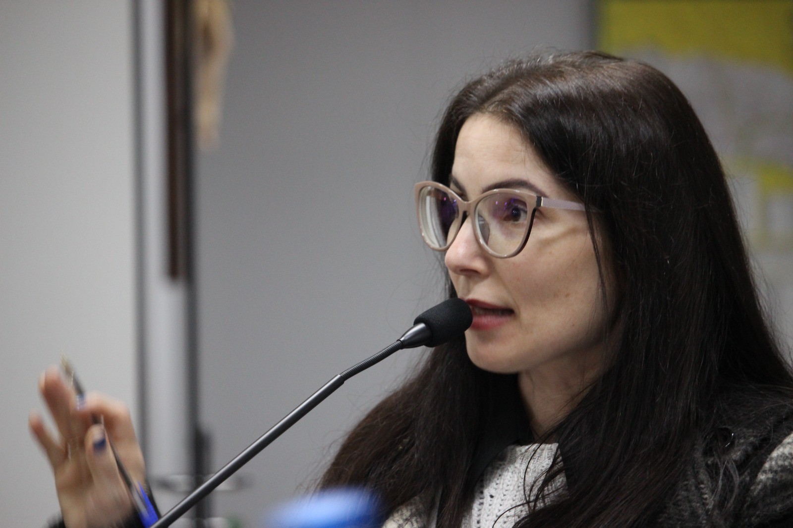 Vereadora denuncia violência de gênero e perseguições políticas