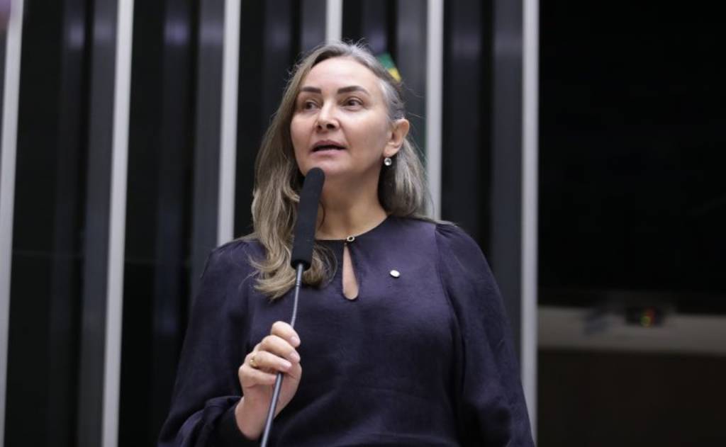 Daniela Reinehr do (PL) garante avanço na modernização de contratos de trabalho rural por ciclo de atividade; a proposta, de acordo com a deputada, atualiza a legislação trabalhista do campo
