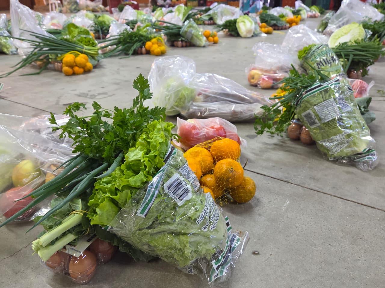 Urussanga recebe 3,5 toneladas de alimentos de programa social para atender famílias e instituições; A remessa é composta por frutas, legumes, verduras e outros produtos da Coofasul