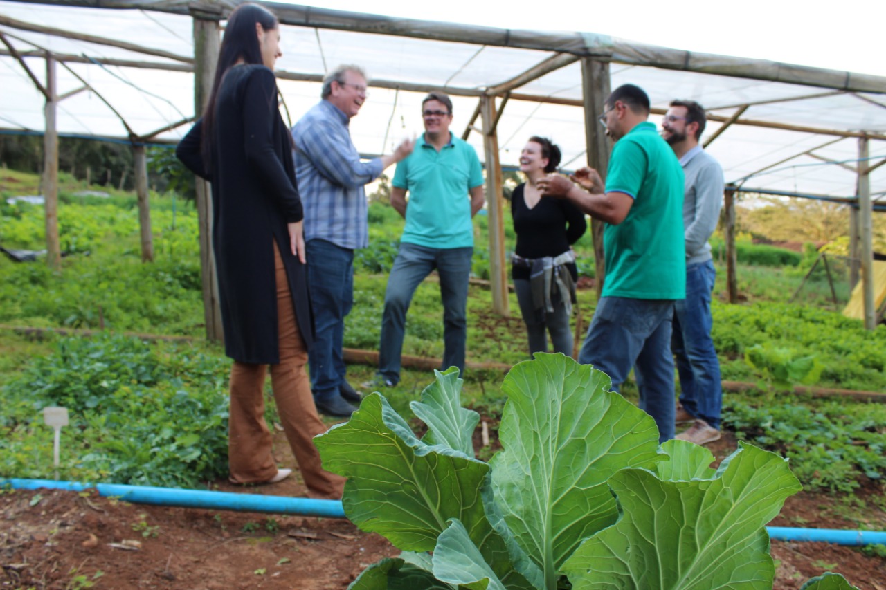 Siderópolis vira referência em produção de orgânicos
