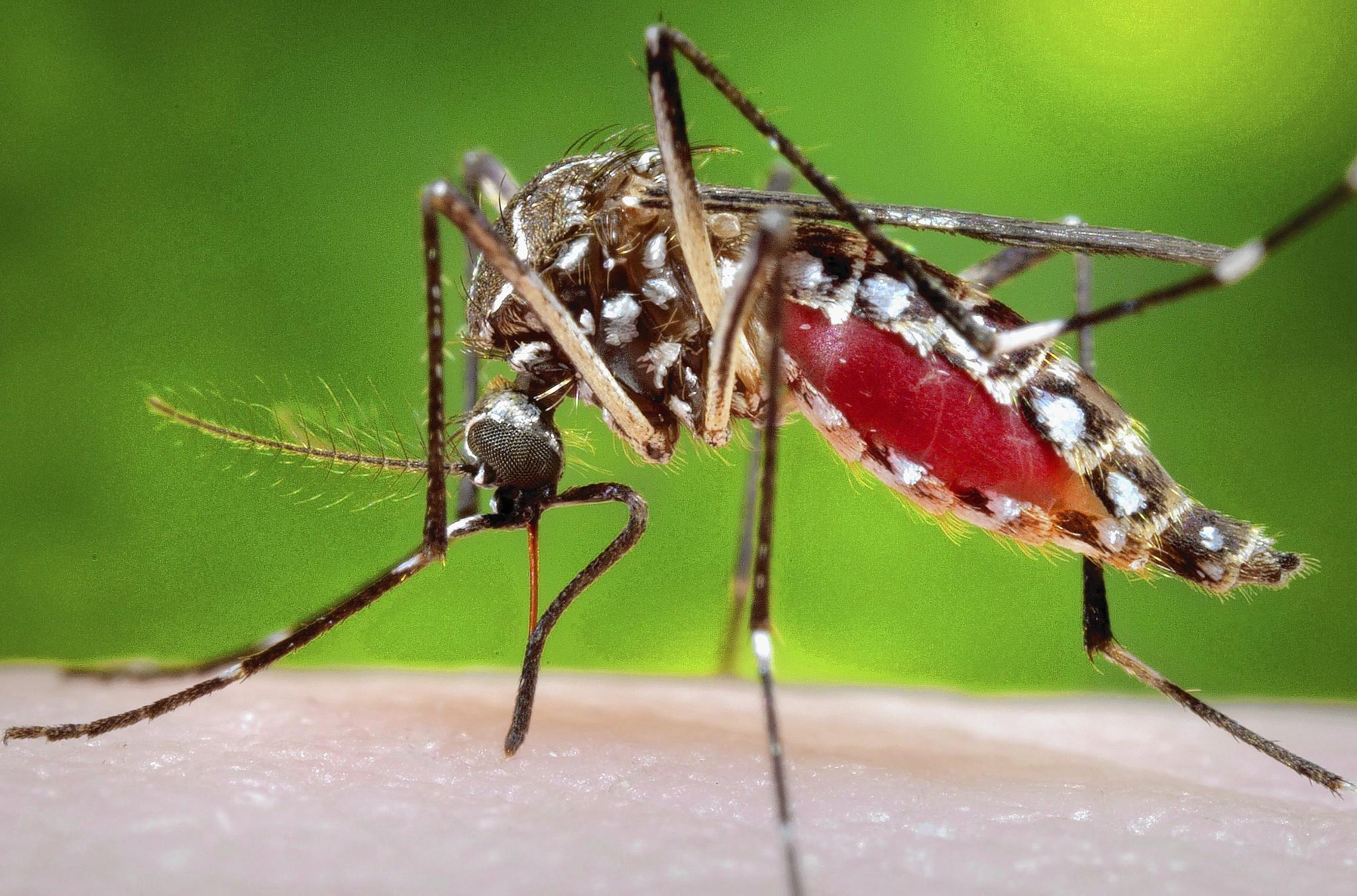Comunidades de Içara são orientadas sobre o Aedes