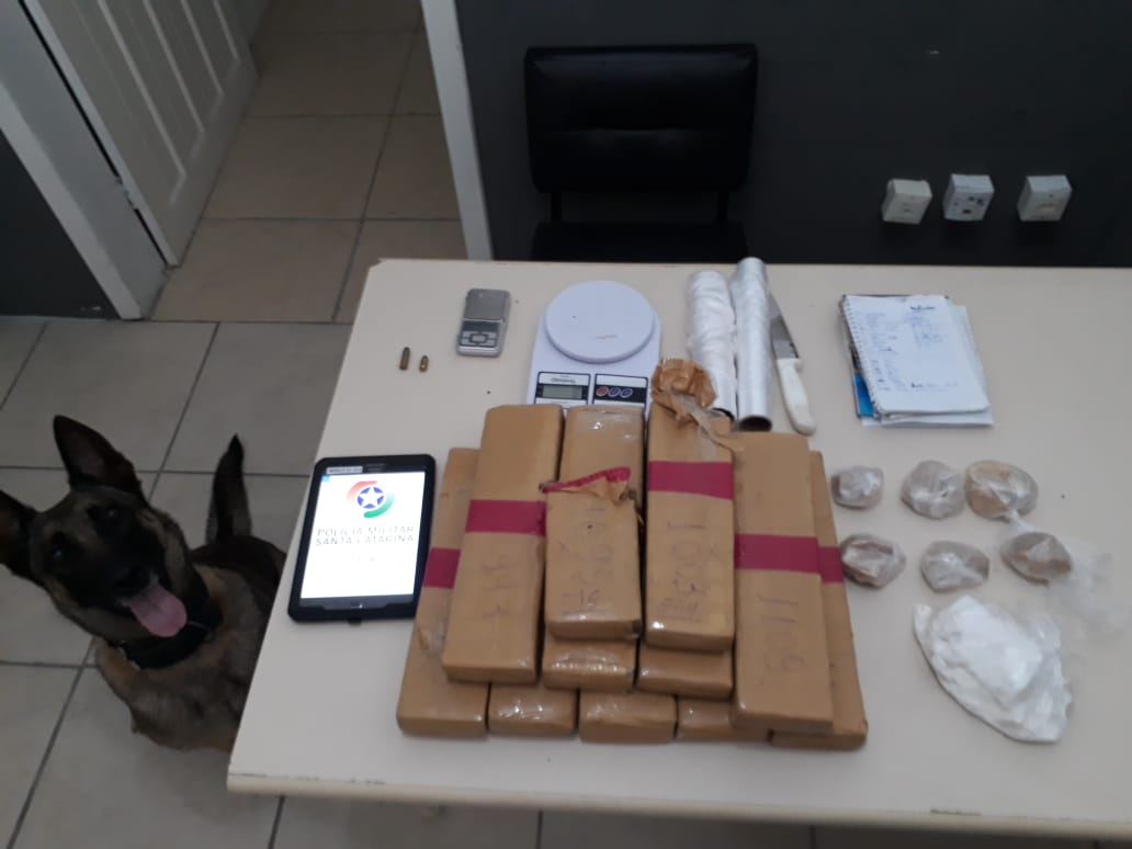 Ação da PM termina com droga e munição apreendidas
