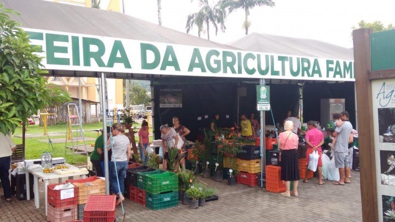 Feira da Agricultura Familiar volta a funcionar em Siderópolis